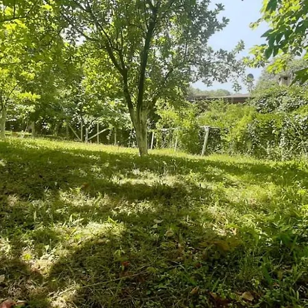 Sapanca Premium * Sakarya (Marmara)