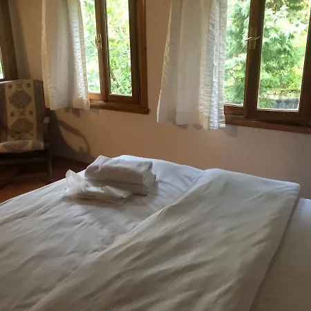 Villa Sapanca Premium