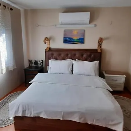 Sapanca Premium Villa *