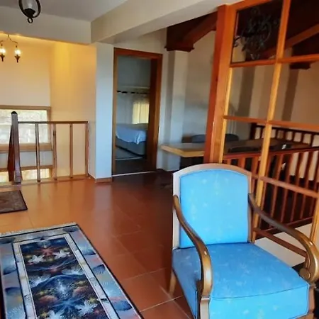 Sapanca Premium Villa