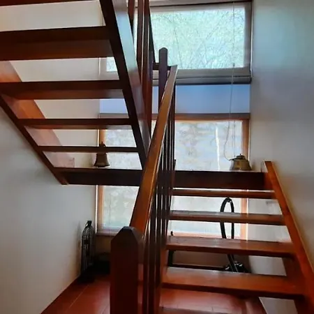 Sapanca Premium Villa *