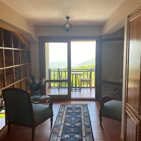 Villa Sapanca Premium *
