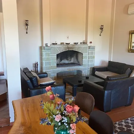 Sapanca Premium Villa
