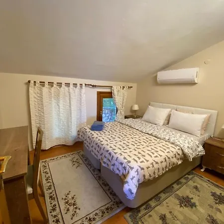 Sapanca Premium Villa *