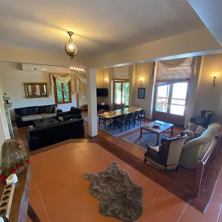 Sapanca Premium Villa Sakarya (Marmara)