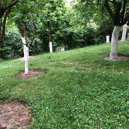 Sapanca Premium Sakarya (Marmara)